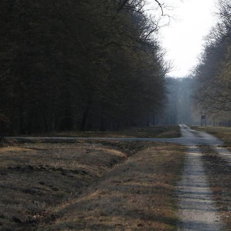 Sobe Pilajevo 2, 183 Ulica Stjepana Radica, Gola Apartman Kültér fotó