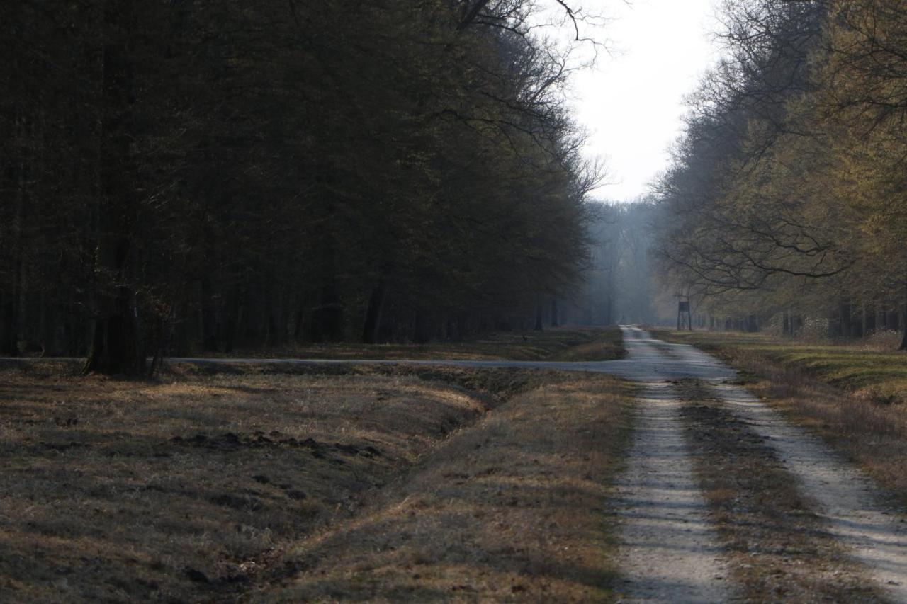 Sobe Pilajevo 2, 183 Ulica Stjepana Radica, Gola Apartman Kültér fotó