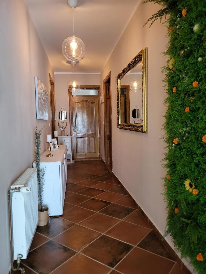 Sobe Pilajevo 2, 183 Ulica Stjepana Radica, Gola Apartman Kültér fotó